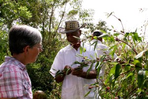 Talking to Ricardo at the Sembrandopaz farm