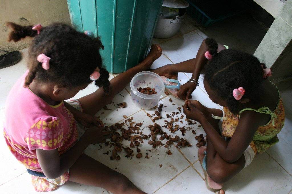 So much easier to clean up after my "nieces" make a giant mess opening tamarindo pods everywhere.