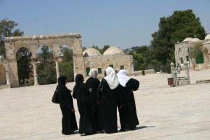 45779_466928237039_5760564_n